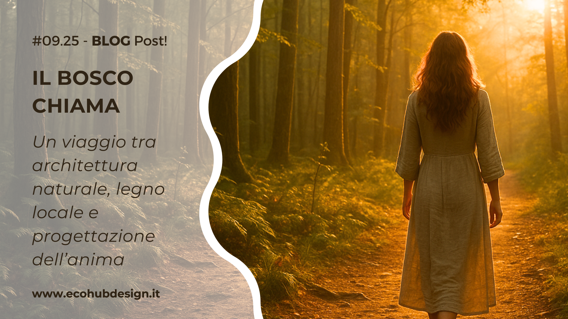 BLOG_7 maggio 2025_IL BOSCO CHIAMA: Semplicità, Natura e Nuovi Inizi