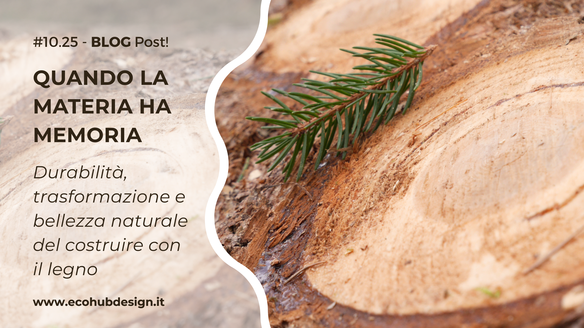 BLOG_14 Maggio_LEGNO VIVO: Quando la Materia ha Memoria